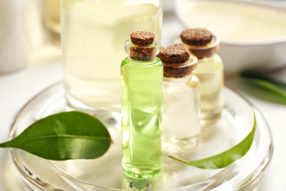 L'huile essentielle de tea tree, un véritable remède beauté, santé et